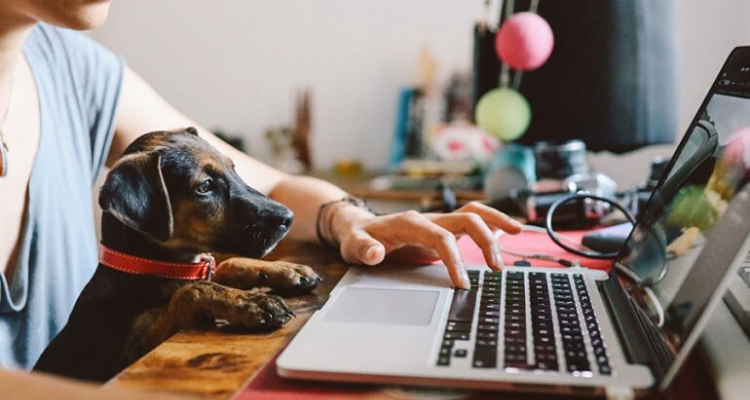 7 consejos para hacer Home Office